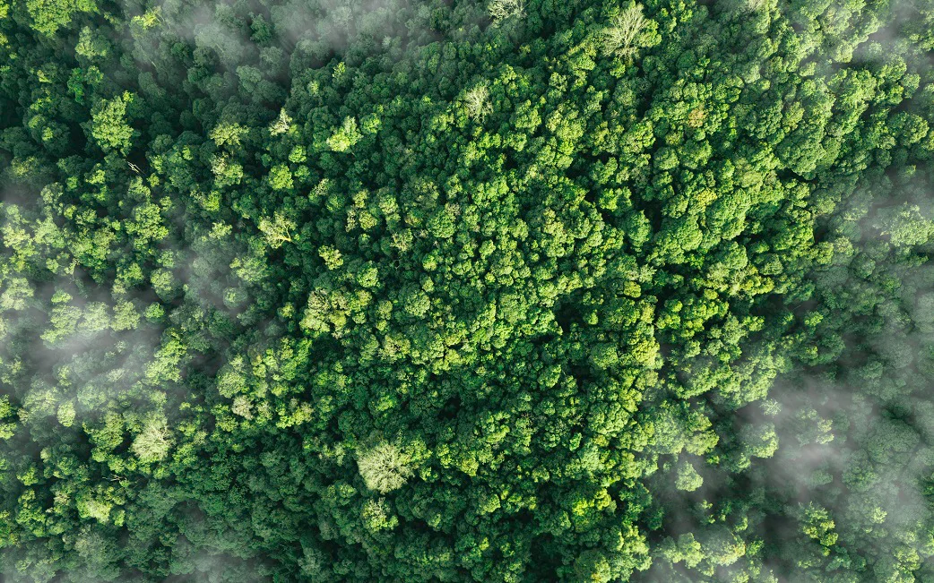 Redefining Carbon Accounting as a Service with Ness & Salesforce Net Zero Cloud