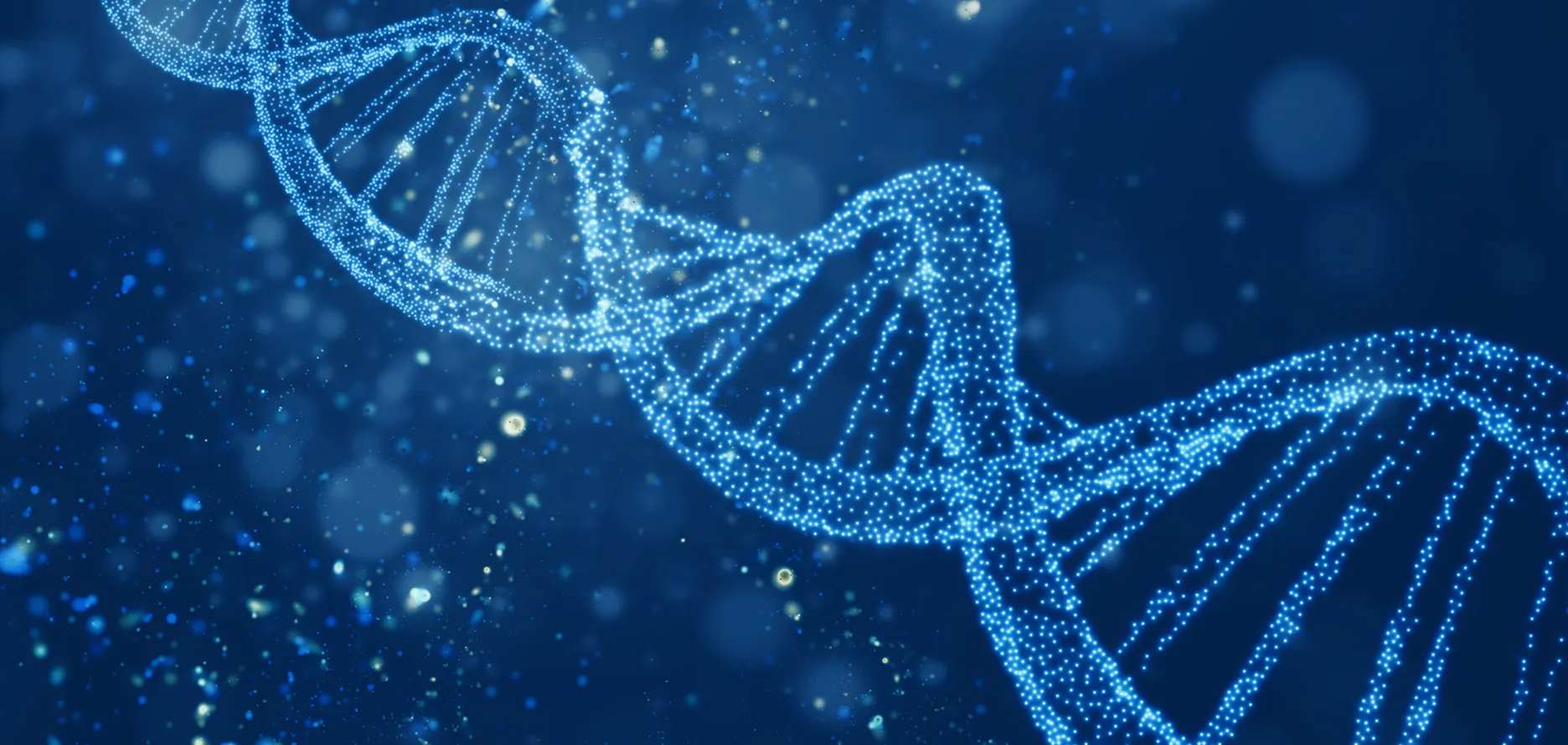 Healthcare & Life Sciences